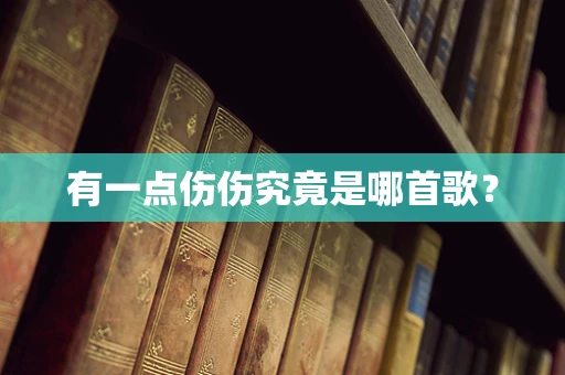 有一点伤伤究竟是哪首歌？