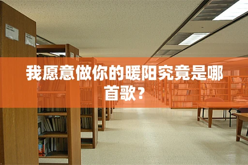 我愿意做你的暖阳究竟是哪首歌？
