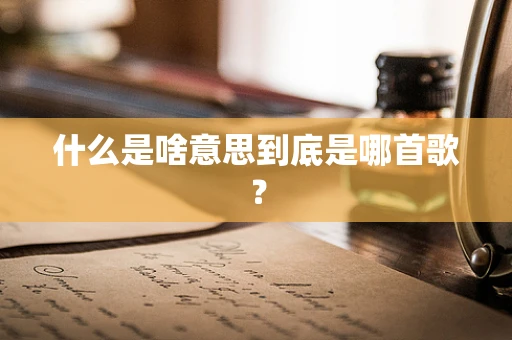 什么是啥意思到底是哪首歌？
