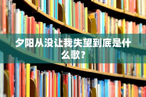 夕阳从没让我失望到底是什么歌？