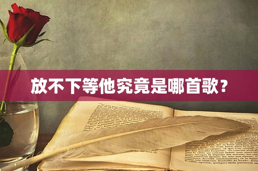 放不下等他究竟是哪首歌？