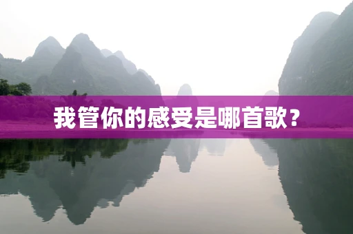我管你的感受是哪首歌？
