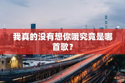 我真的没有想你哦究竟是哪首歌？