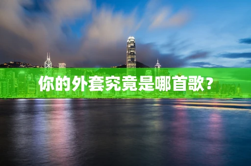 你的外套究竟是哪首歌？
