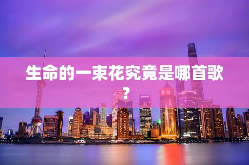 生命的一束花究竟是哪首歌？