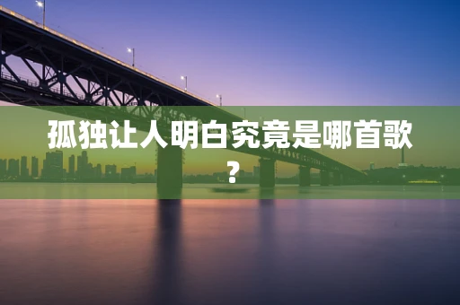 孤独让人明白究竟是哪首歌？