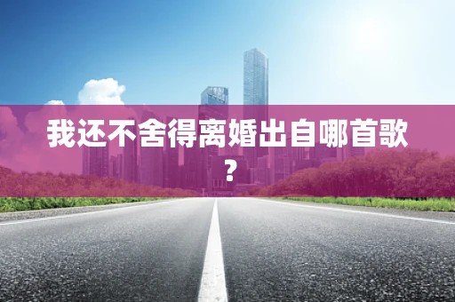 我还不舍得离婚出自哪首歌？