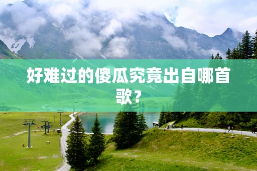 好难过的傻瓜究竟出自哪首歌？