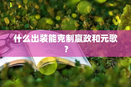 什么出装能克制嬴政和元歌？
