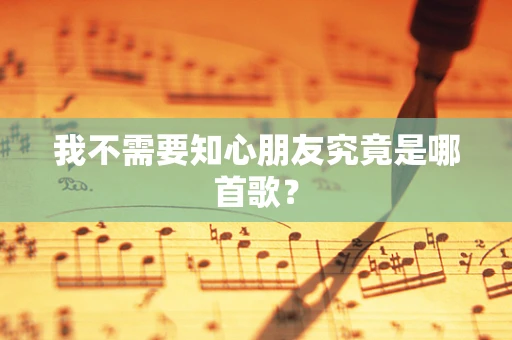 我不需要知心朋友究竟是哪首歌？