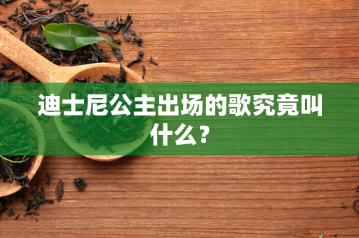 迪士尼公主出场的歌究竟叫什么？