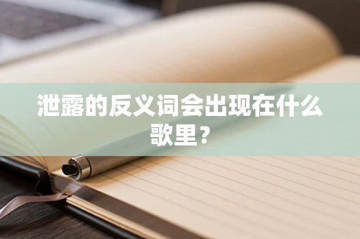 泄露的反义词会出现在什么歌里？
