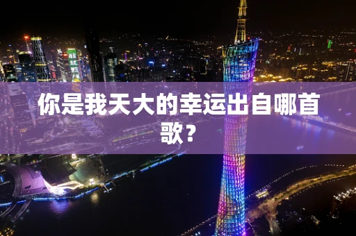 你是我天大的幸运出自哪首歌？