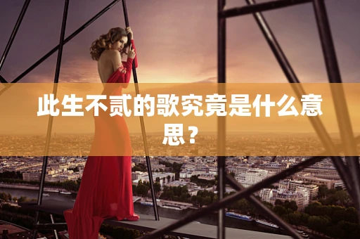 此生不贰的歌究竟是什么意思？