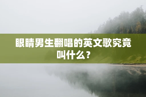 眼睛男生翻唱的英文歌究竟叫什么？