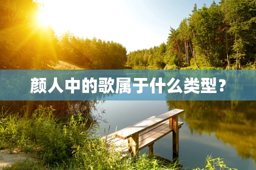 颜人中的歌属于什么类型？