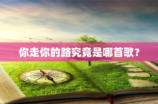 你走你的路究竟是哪首歌？