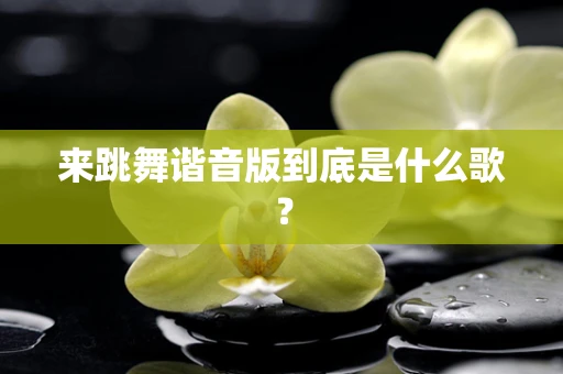 来跳舞谐音版到底是什么歌？