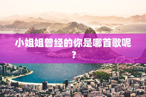小姐姐曾经的你是哪首歌呢？