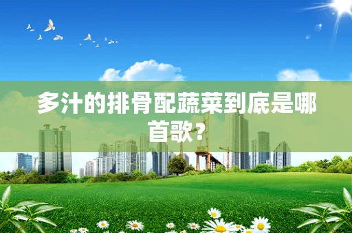 多汁的排骨配蔬菜到底是哪首歌？