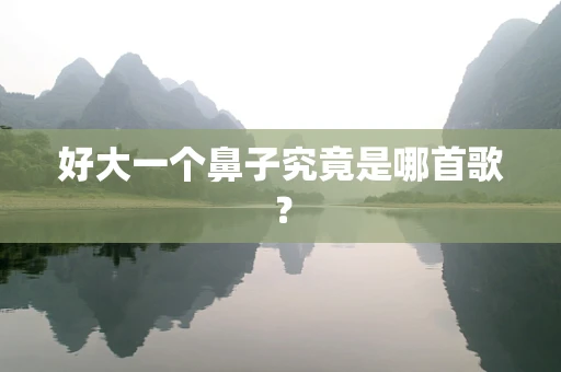 好大一个鼻子究竟是哪首歌？