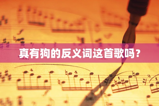 真有狗的反义词这首歌吗？