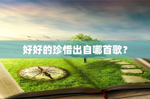 好好的珍惜出自哪首歌？