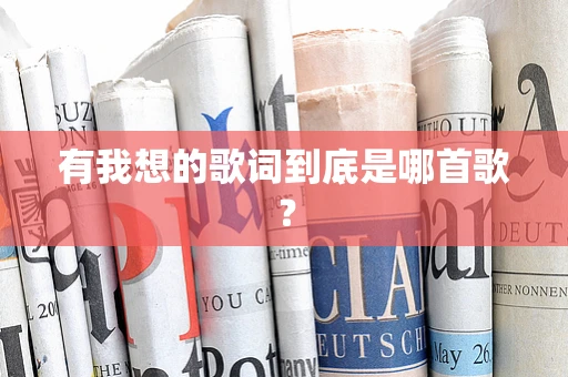 有我想的歌词到底是哪首歌？