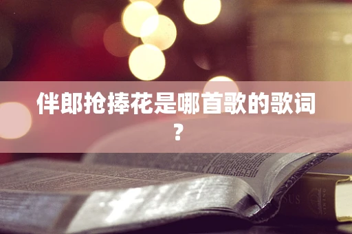伴郎抢捧花是哪首歌的歌词？