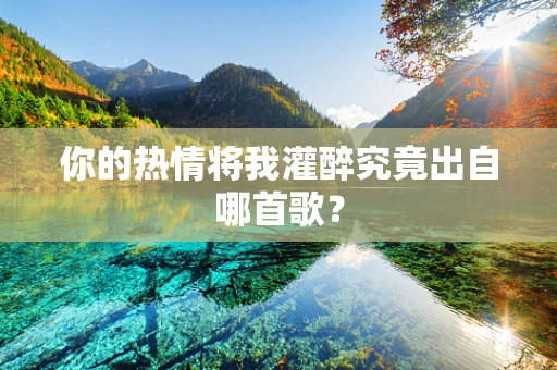 你的热情将我灌醉究竟出自哪首歌？