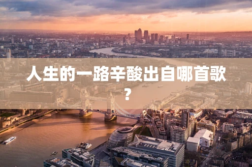 人生的一路辛酸出自哪首歌？
