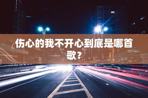 伤心的我不开心到底是哪首歌？