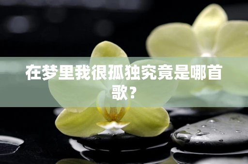 在梦里我很孤独究竟是哪首歌？