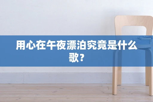 用心在午夜漂泊究竟是什么歌？