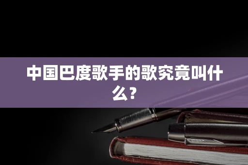 中国巴度歌手的歌究竟叫什么？