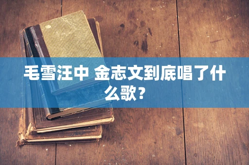 毛雪汪中 金志文到底唱了什么歌？