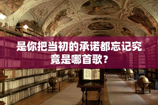 是你把当初的承诺都忘记究竟是哪首歌？