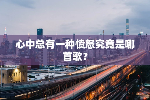 心中总有一种愤怒究竟是哪首歌？
