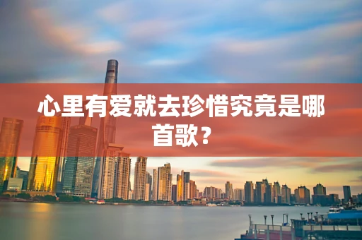 心里有爱就去珍惜究竟是哪首歌？