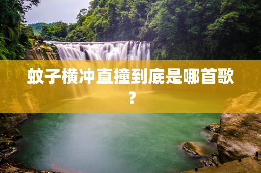 蚊子横冲直撞到底是哪首歌？