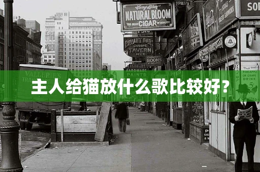 主人给猫放什么歌比较好？