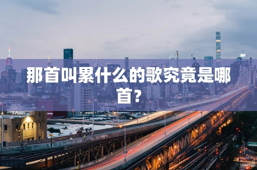 那首叫累什么的歌究竟是哪首？