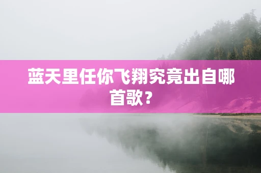 蓝天里任你飞翔究竟出自哪首歌？