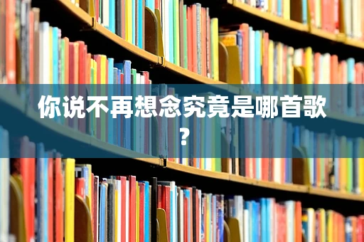 你说不再想念究竟是哪首歌？