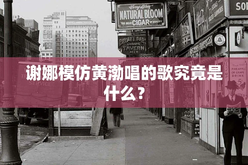 谢娜模仿黄渤唱的歌究竟是什么？