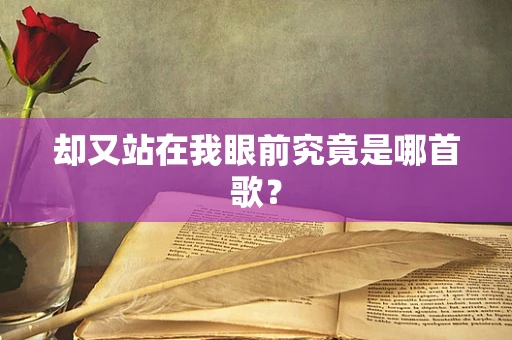 却又站在我眼前究竟是哪首歌？