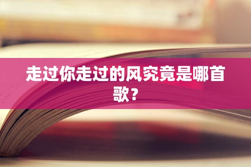走过你走过的风究竟是哪首歌？