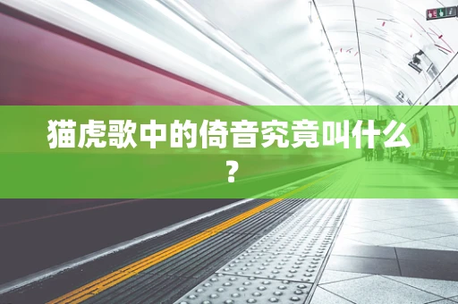 猫虎歌中的倚音究竟叫什么？