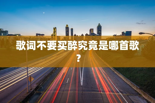 歌词不要买醉究竟是哪首歌？