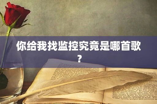 你给我找监控究竟是哪首歌？